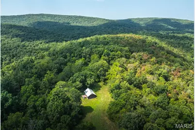 9556 Madison 535, Fredericktown, MO 63645 - Photo 3