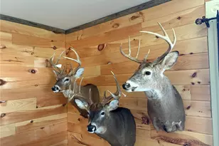 11302 Pike 107, Frankford, MO 63441 - Photo 15