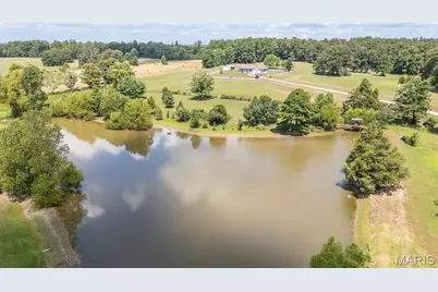 547 County Road 448, Poplar Bluff, MO 63901 - Photo 3