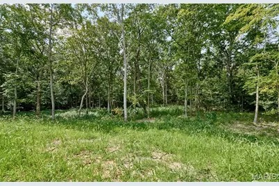 170 Blue Sky Drive, Defiance, MO 63341 - Photo 91