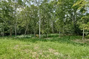 170 Blue Sky Dr, Defiance, MO 63341 - Photo 91