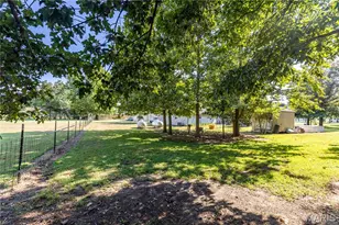 226 Sandy Ln, East Prairie, MO 63845 - Photo 55