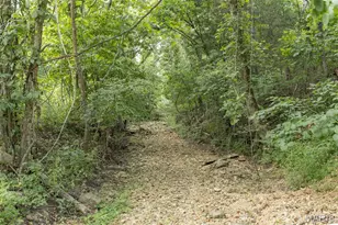 2540 Pfinister School Rd, De Soto, MO 63020 - Photo 23