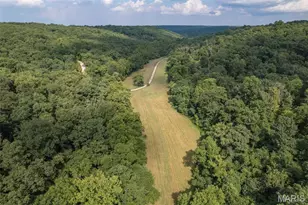 2540 Pfinister School Rd, De Soto, MO 63020 - Photo 13