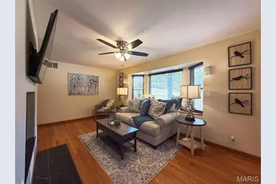 12268 State Road Tt, Festus, MO 63028 - Photo 5