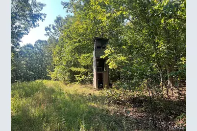 523 Faith Road, Wappapello, MO 63967 - Photo 17