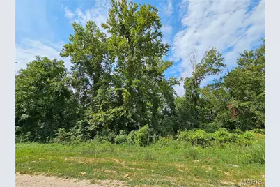 Lot 1 & 2 Ext Deer Run Plat 5, Van Buren, MO 63965 - Photo 5