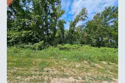Lot 1 & 2 Ext Deer Run Plat 5, Van Buren, MO 63965 - Photo 3