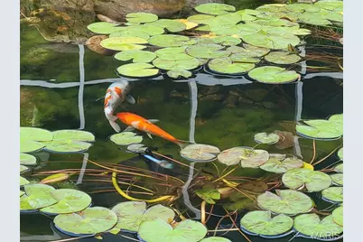 7062 Winona Avenue, Saint Louis, MO 63109 - Photo 31