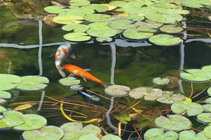 7062 Winona Ave, Saint Louis, MO 63109 - Photo 31