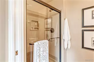 16307 Autumn View Terrace Dr, Ellisville, MO 63011 - Photo 49