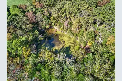 2670 Jackson Road, Wentzville, MO 63385 - Photo 19