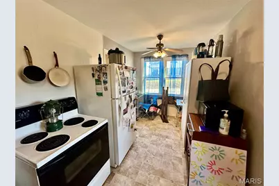 419 Franklin Street, Fredericktown, MO 63645 - Photo 23