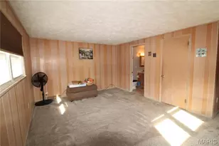 7266 MacKenzie Rd, Unincorporated, MO 63123 - Photo 19