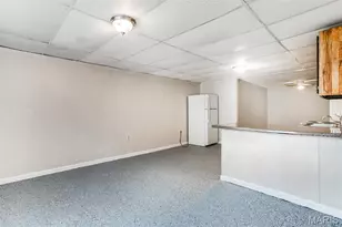 6 Walnut Park Dr, Cedar Hill, MO 63016 - Photo 61