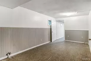 6 Walnut Park Dr, Cedar Hill, MO 63016 - Photo 55