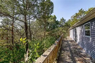 3900 Rice Rd, Hillsboro, MO 63050 - Photo 41