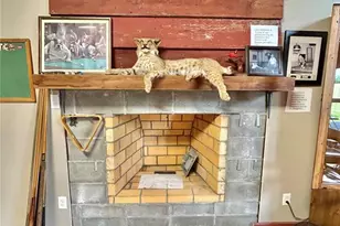 1640 Hwy 63, Houston, MO 65483 - Photo 11