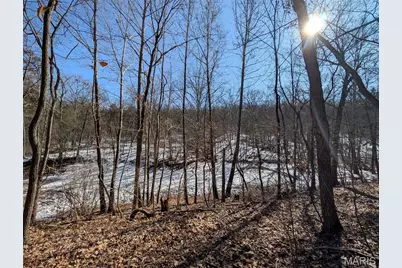 8911 Kitson Lane, Cedar Hill, MO 63016 - Photo 39