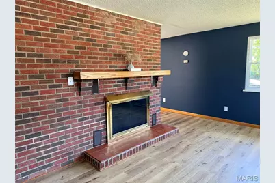 309 South Main, Fredericktown, MO 63645 - Photo 3