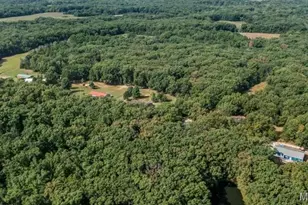 2381 County Rd 157, Auxvasse, MO 65231 - Photo 3