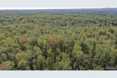 Tbd County Road 636, Washington, MO 63638 - Photo 31