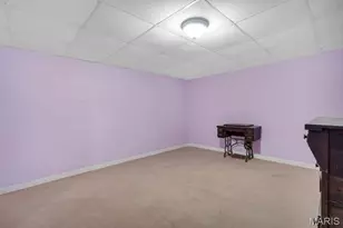 201 Jenna Lee Dr, Foley, MO 63347 - Photo 53