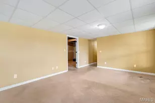 201 Jenna Lee Dr, Foley, MO 63347 - Photo 45