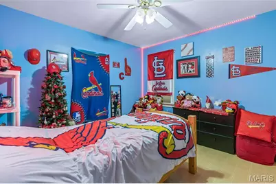 336 Academy, Saint Genevieve, MO 63670 - Photo 9