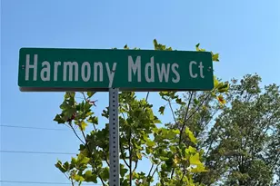 235 Harmony Mdws Ct, Dardenne Prairie, MO 63368 - Photo 15