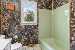 10179 Cherry Hill Ln, Potosi, MO 63664 - Photo 29