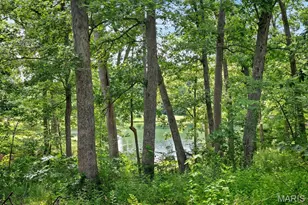 25 Hawthorne Hills Dr, Warrenton, MO 63383 - Photo 37