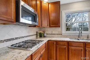 14543 Debbenham Ln, Chesterfield, MO 63017 - Photo 27