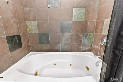 1004 Spruce Street #404, Saint Louis, MO 63102 - Photo 19