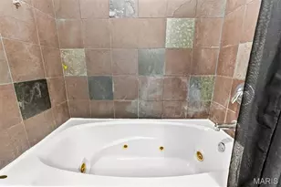 1004 Spruce St, Saint Louis, MO 63102 - Photo 19