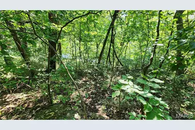 1828 Lionheart Court, Marthasville, MO 63357 - Photo 25