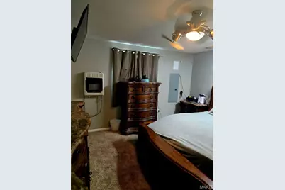 229 Carter 254, Grandin, MO 63943 - Photo 25