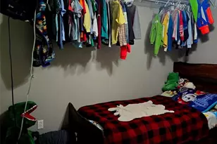 229 Carter 254, Grandin, MO 63943 - Photo 43