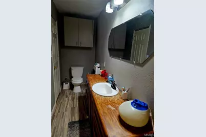 229 Carter 254, Grandin, MO 63943 - Photo 41