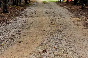 229 Carter 254, Grandin, MO 63943 - Photo 59