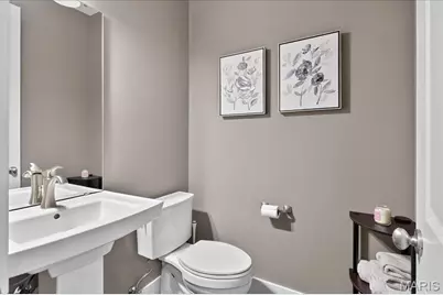 1026 Bridleridge Crossing Spur, High Ridge, MO 63049 - Photo 19