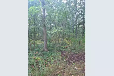 10021 Lark Road, Potosi, MO 63664 - Photo 9