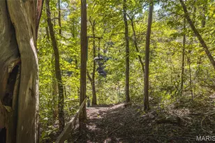 86 Klein Cutoff, Shelbyville, MO 65565 - Photo 29