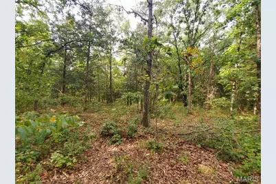 28148 Commanche Trail, Stanton, MO 63435 - Photo 89