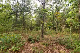 28148 Commanche Trail, Stanton, MO 63435 - Photo 89