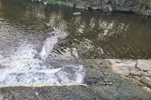 12775 Pawnee Trail, Saint Genevieve, MO 63670 - Photo 15