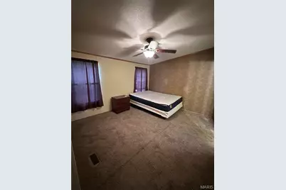 69 Mary Ann Lane, Wappapello, MO 63966 - Photo 9