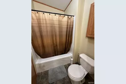 69 Mary Ann Lane, Wappapello, MO 63966 - Photo 11