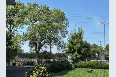 450 W Adams Avenue #18, Kirkwood, MO 63122 - Photo 29