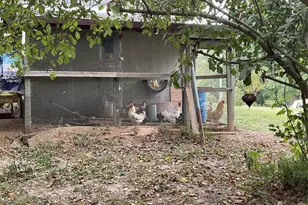 5414 Co Rd 150, Taylor, MO 63471 - Photo 25